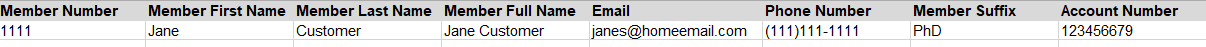 CSV file
